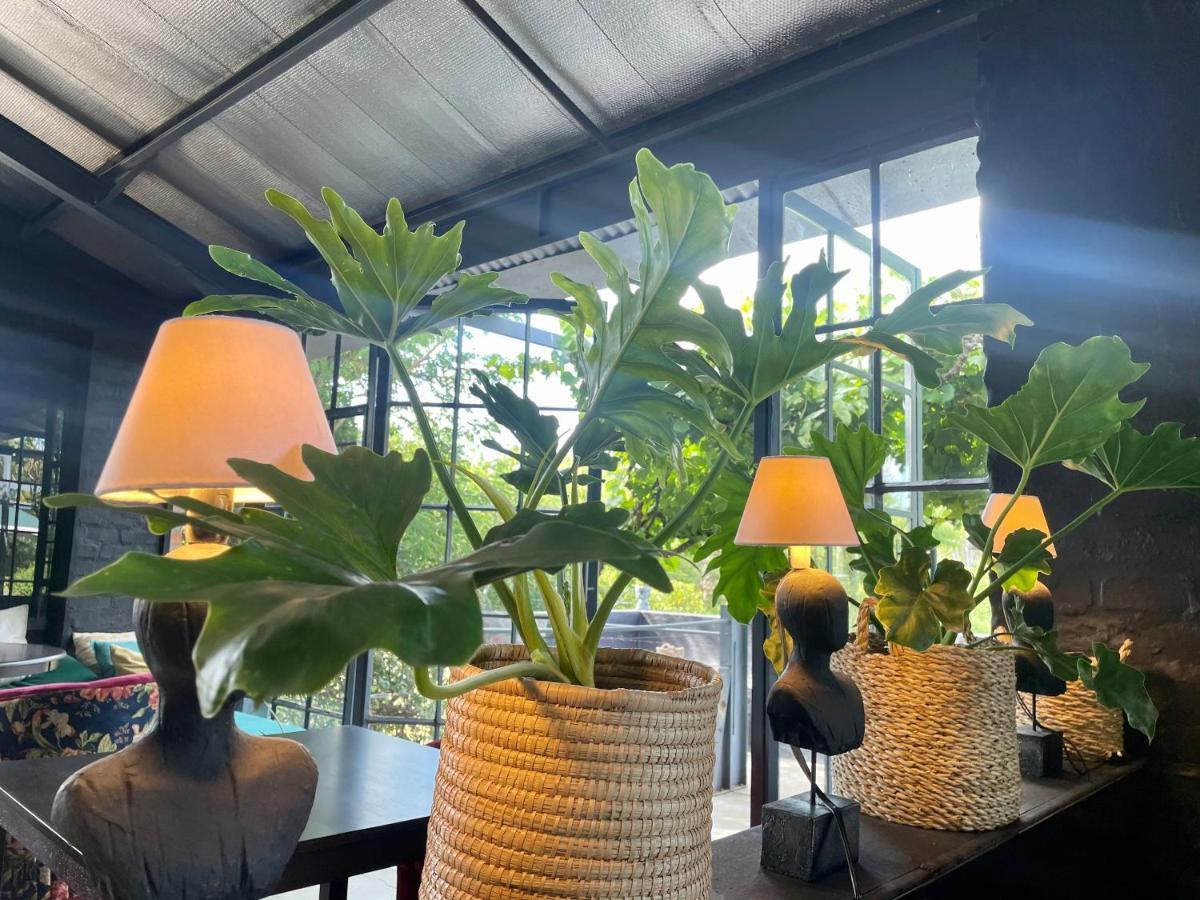 Le Reve Boutique Hotel Tulbagh Eksteriør billede
