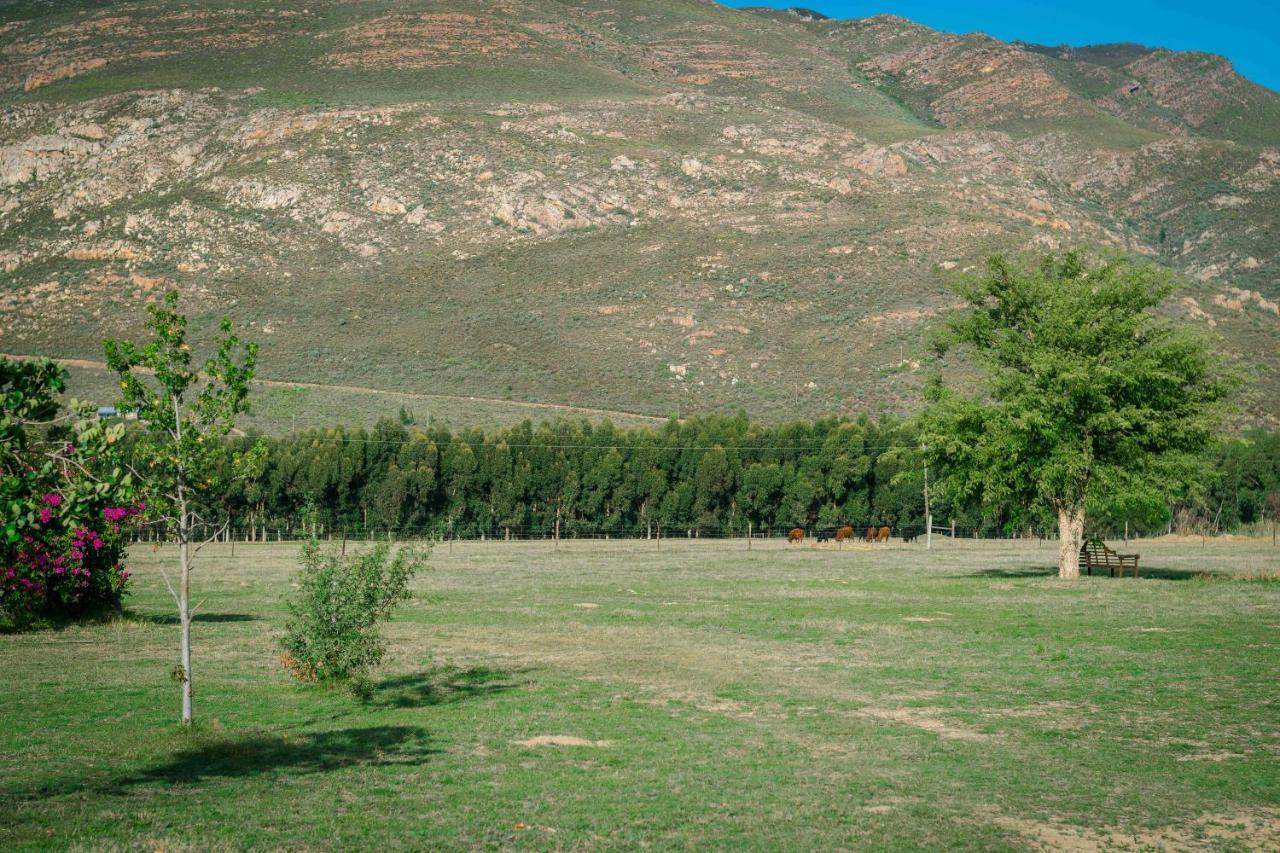 Le Reve Boutique Hotel Tulbagh Eksteriør billede
