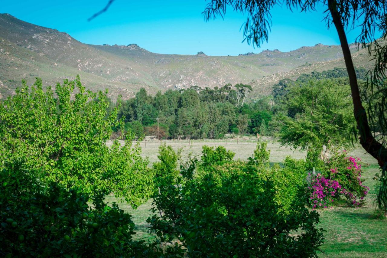 Le Reve Boutique Hotel Tulbagh Eksteriør billede